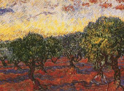 Vincent Van Gogh Olive Grove oil painting image